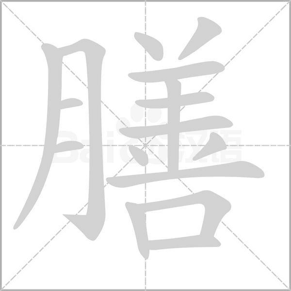 笔顺动画