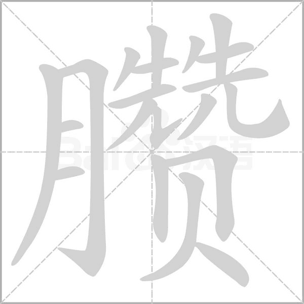 笔顺动画
