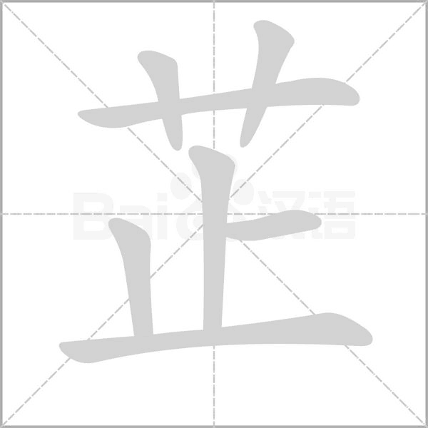 笔顺动画