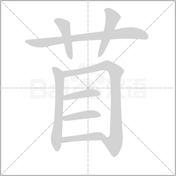 笔顺动画