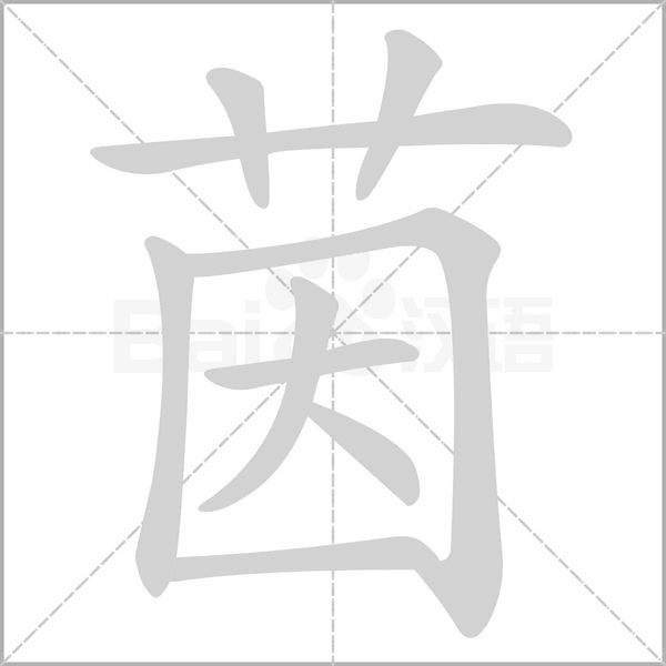 笔顺动画