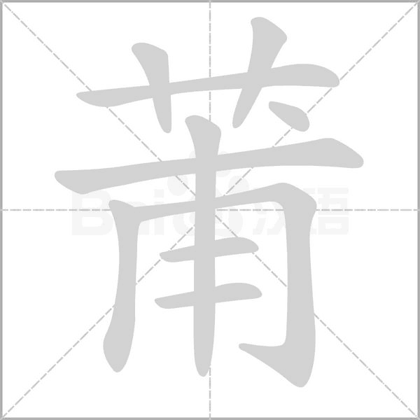 笔顺动画