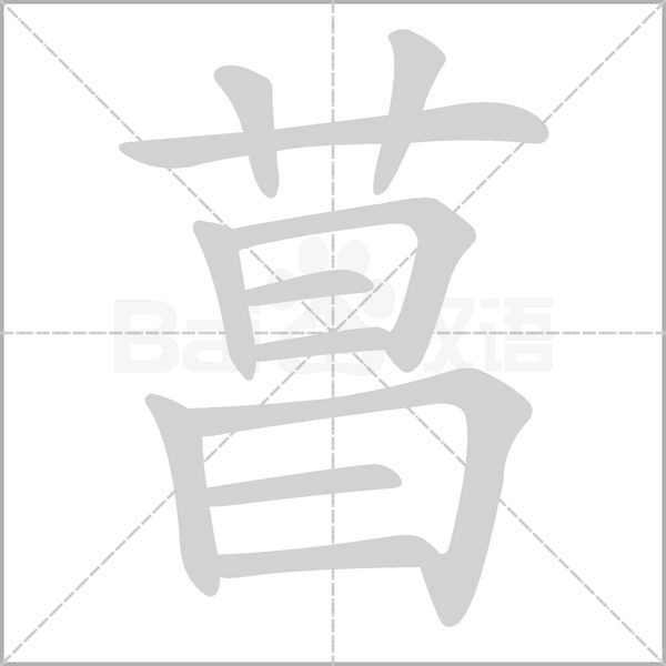 笔顺动画