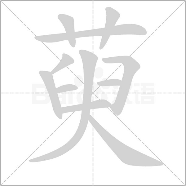 笔顺动画
