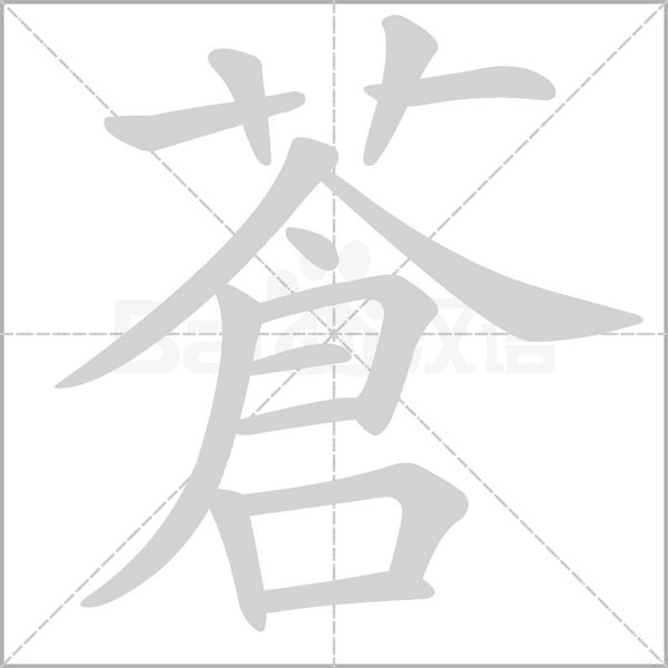 笔顺动画