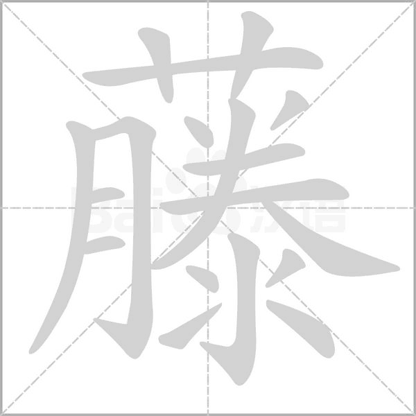 笔顺动画