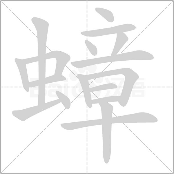 笔顺动画