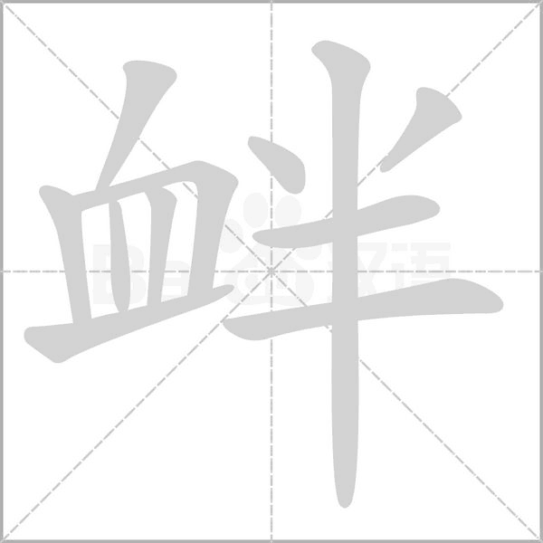 笔顺动画