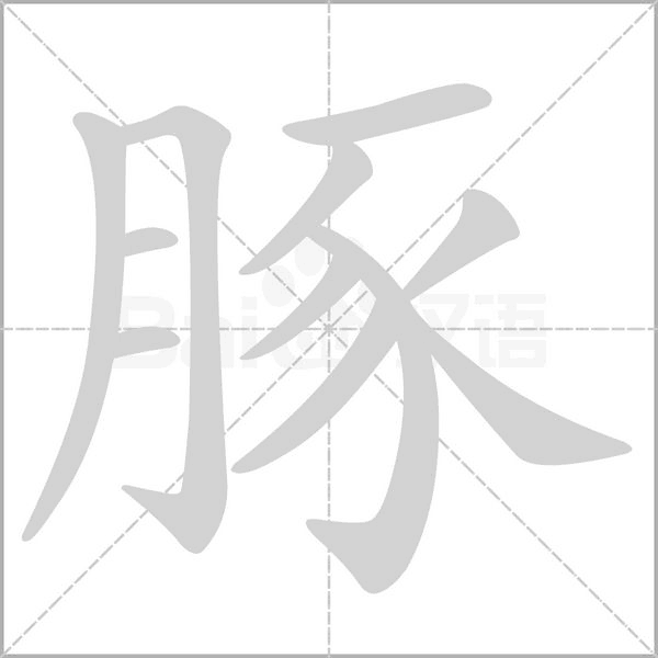 笔顺动画