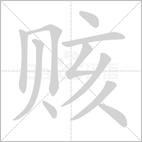 笔顺动画