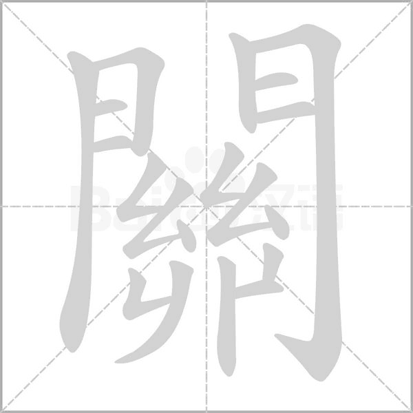 笔顺动画