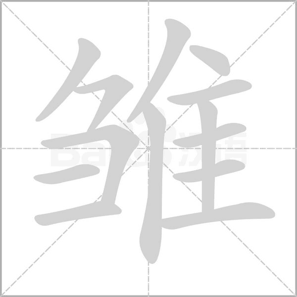 笔顺动画