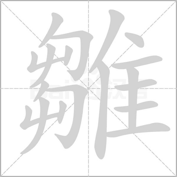 笔顺动画