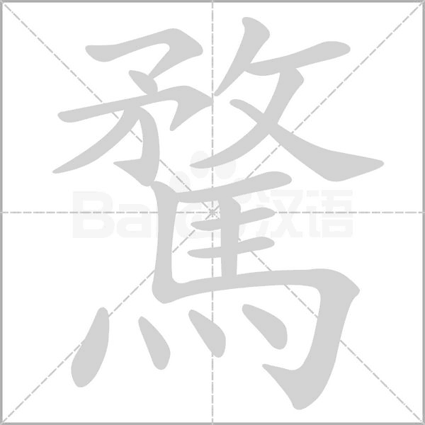 笔顺动画