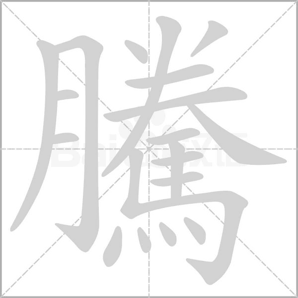 笔顺动画