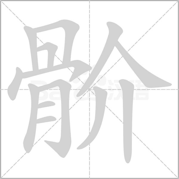 笔顺动画