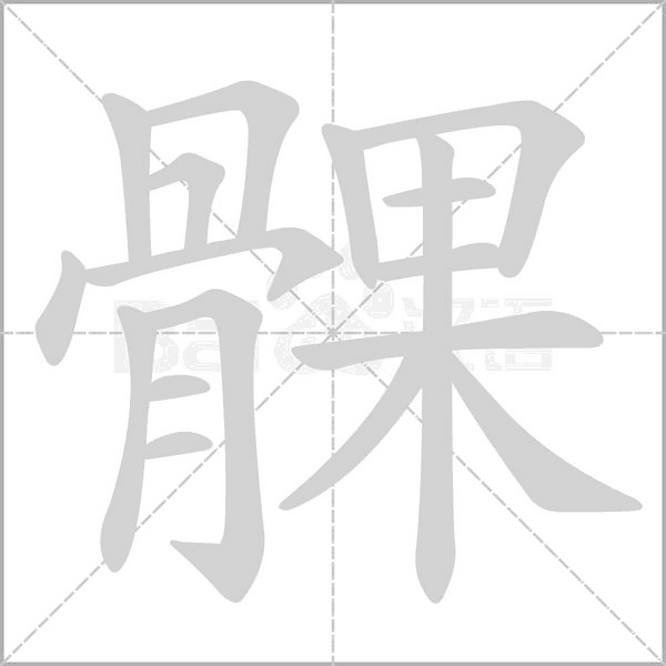 笔顺动画