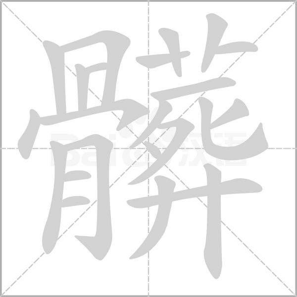 笔顺动画