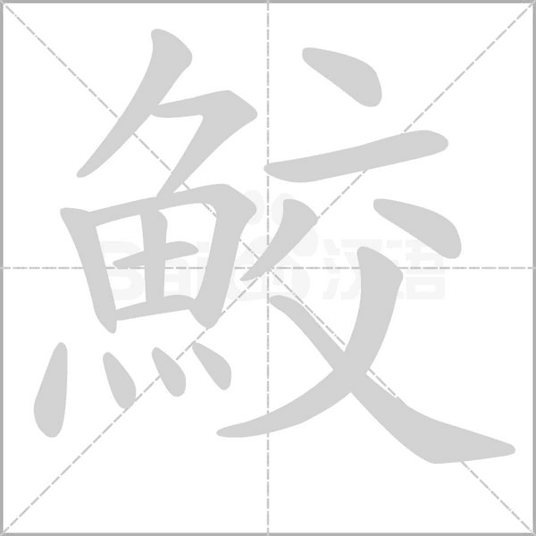 笔顺动画
