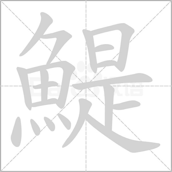 笔顺动画