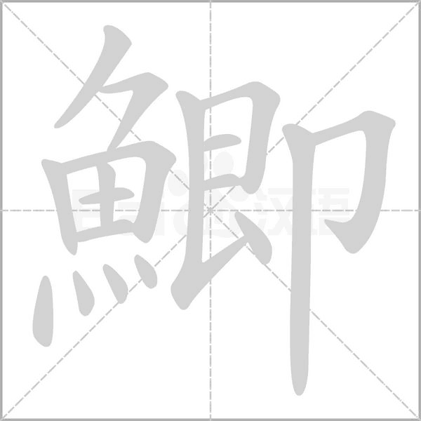 笔顺动画