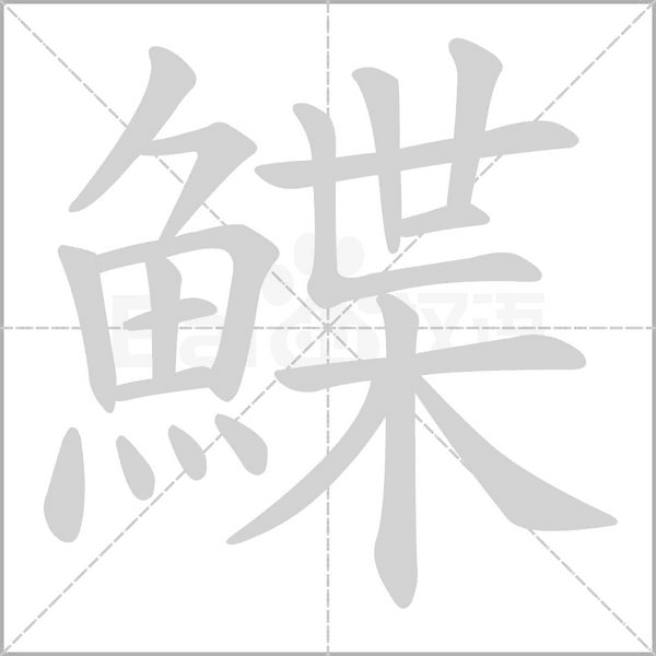 笔顺动画