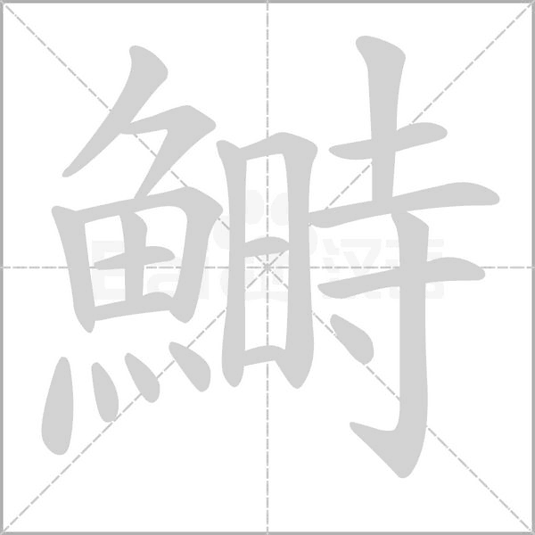 笔顺动画