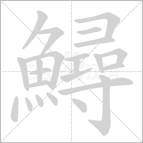 笔顺动画