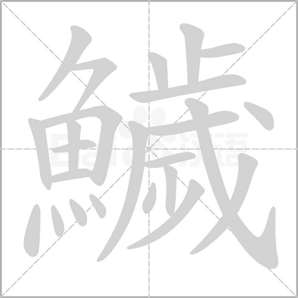 笔顺动画