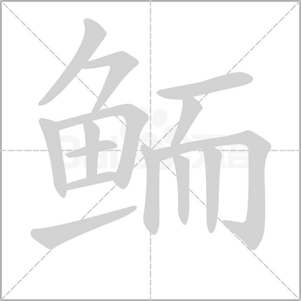 笔顺动画