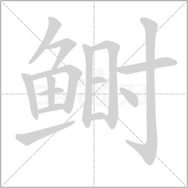 笔顺动画