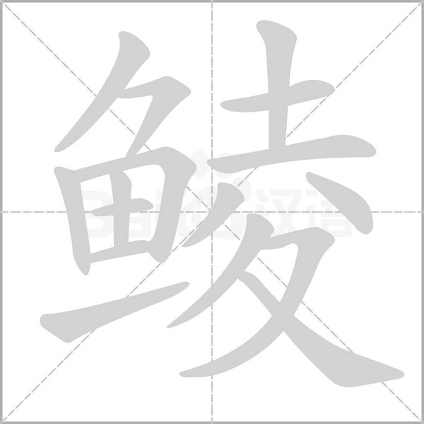笔顺动画