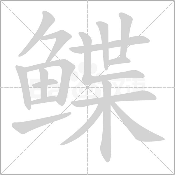笔顺动画