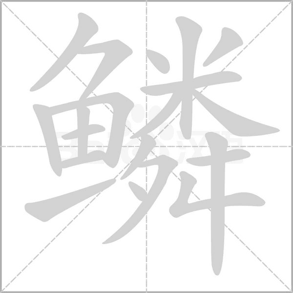 笔顺动画