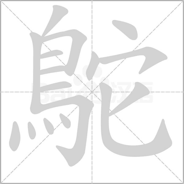 笔顺动画