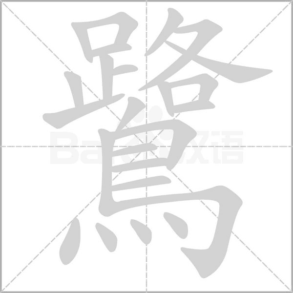 笔顺动画