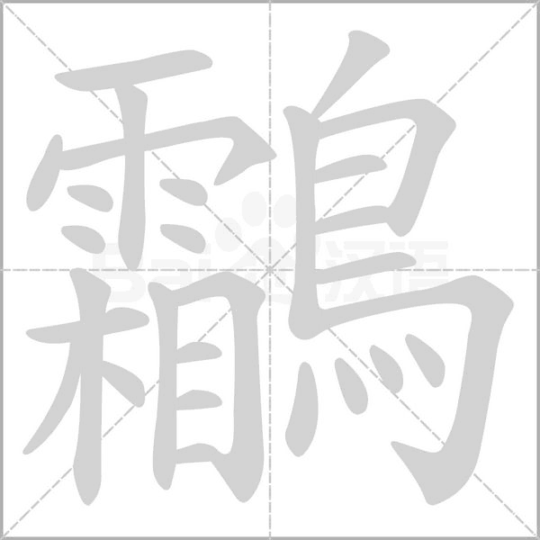 笔顺动画