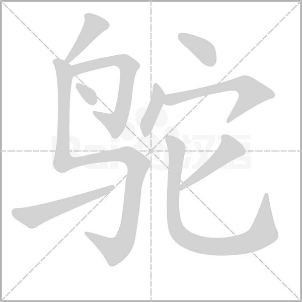 笔顺动画