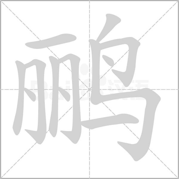 笔顺动画