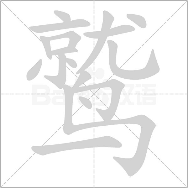 笔顺动画